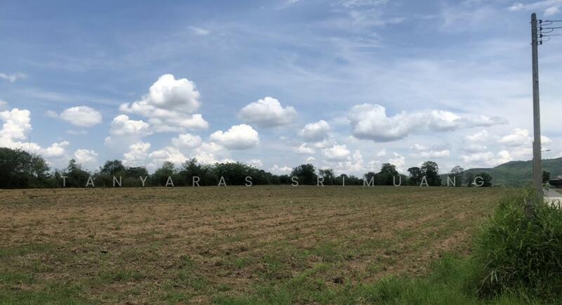 ขายที่ดินติดถนน ทำเลดี เห็นวิวเขา ใกล้ถนนหนองสาหร่าย คุณโอ๋ 098-097-8715, Nakhon Ratchasima, Nong Sarai, Pak Chong, Nakhon Ratchasima, , 25,912 sqm, Land For Sale, by Tanyaras Srimuang, 11504911 - DDproperty.com