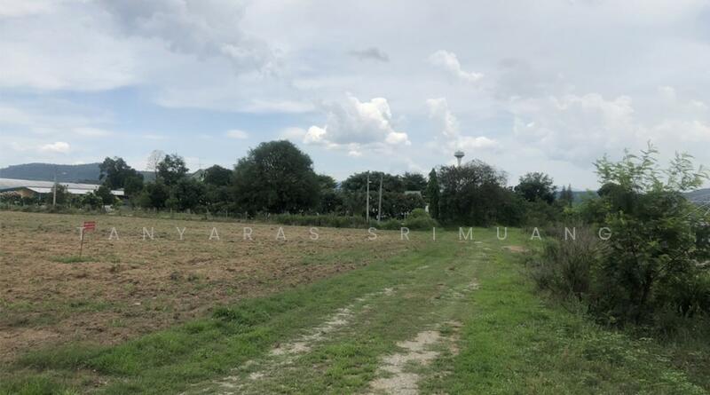 ขายที่ดินติดถนน ทำเลดี เห็นวิวเขา ใกล้ถนนหนองสาหร่าย คุณโอ๋ 098-097-8715, Nakhon Ratchasima, Nong Sarai, Pak Chong, Nakhon Ratchasima, , 25,912 sqm, Land For Sale, by Tanyaras Srimuang, 11504911 - DDproperty.com