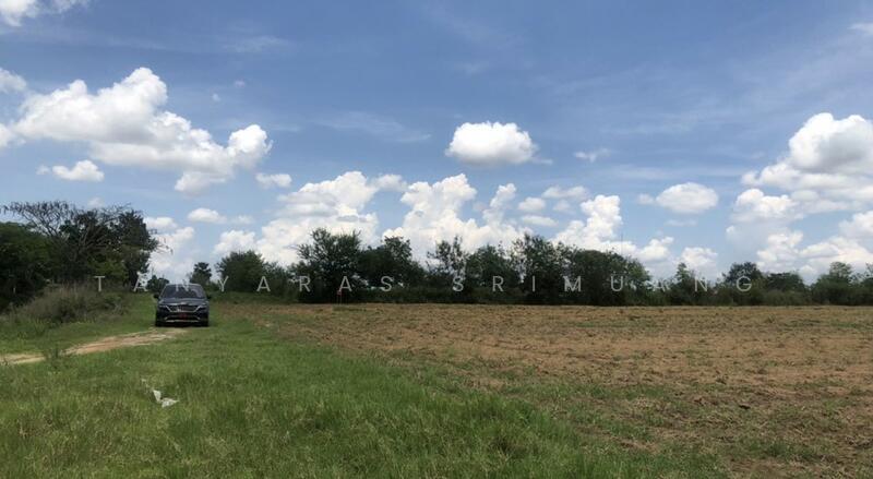 ขายที่ดินติดถนน ทำเลดี เห็นวิวเขา ใกล้ถนนหนองสาหร่าย คุณโอ๋ 098-097-8715, Nakhon Ratchasima, Nong Sarai, Pak Chong, Nakhon Ratchasima, , 25,912 sqm, Land For Sale, by Tanyaras Srimuang, 11504911 - DDproperty.com