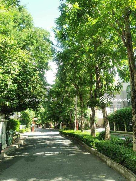 ให้เช่า - Plus City Park Rama 9-Huamark : พลัสซิตี้ พาร์ค พระราม 9-หัวหมาก, กรุงเทพ