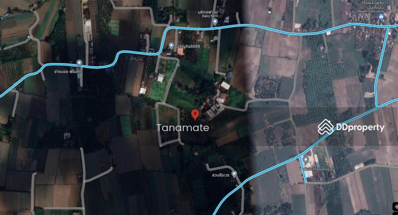 For Sale - Land for sale Si dong yen, Chai prakarn, Chiangmai, Chiang Mai