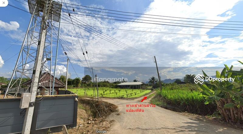 For Sale - Land for sale Si dong yen, Chai prakarn, Chiangmai, Chiang Mai