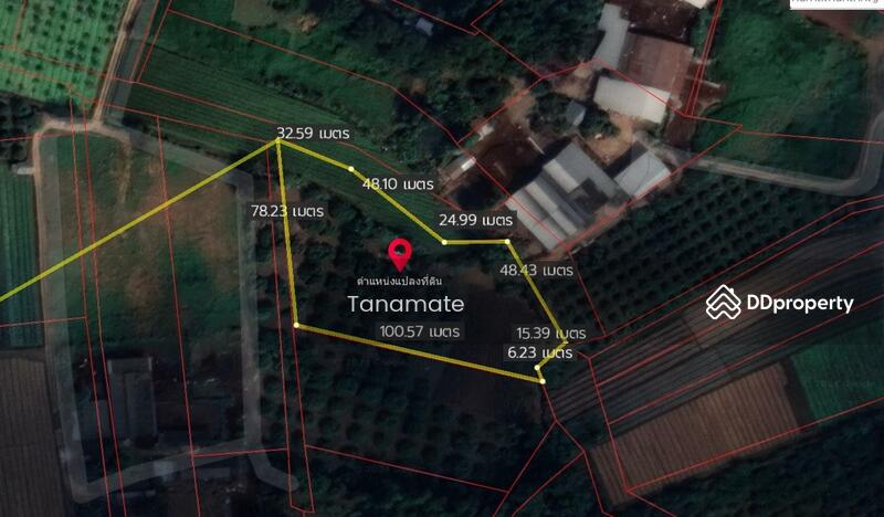 For Sale - Land for sale Si dong yen, Chai prakarn, Chiangmai, Chiang Mai