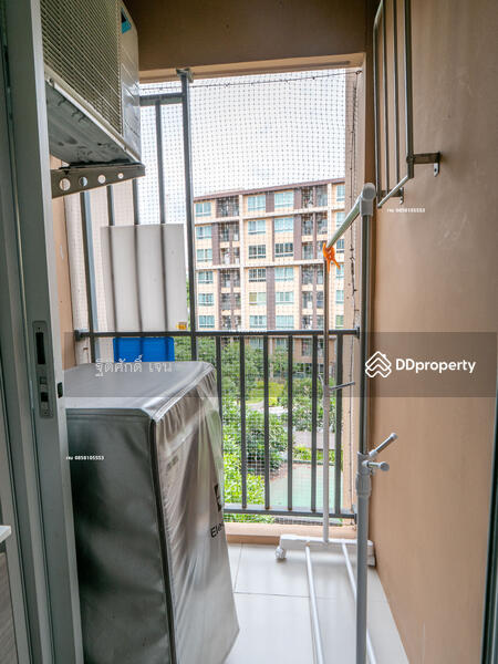 Dcondo Campus Resort Rangsit, Pathum Thani, 89 Soi Mu Ban Kritsana House Khlong Luang Road, Khlong Nung, Khlong Luang, Pathum Thani, 1 Bedroom, 30 sqm, Condo For Rent, by TITISAK Jane, 11506164 - DDproperty.com