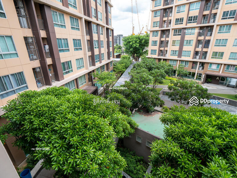 Dcondo Campus Resort Rangsit : ดี คอนโด แคมปัส รีสอร์ท รังสิต, ปทุมธานี, 89 ซอยหมู่บ้านกฤษณาเฮ้าส์ ถนนคลองหลวง, คลองหนึ่ง, คลองหลวง, ปทุมธานี, 30 ตร.ม., คอนโด ให้เช่า, โดย ฐิติศักดิ์ เจน, 11506164 - DDproperty.com