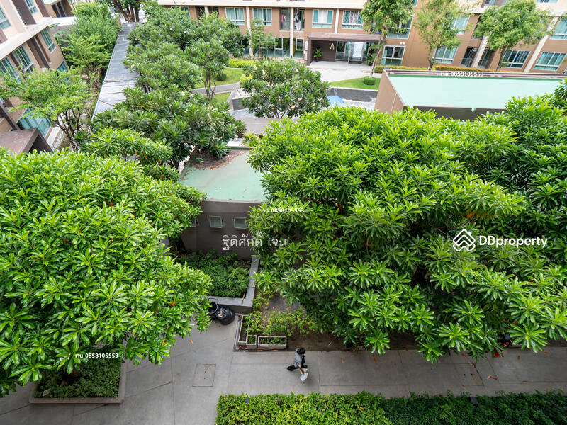 Dcondo Campus Resort Rangsit, Pathum Thani, 89 Soi Mu Ban Kritsana House Khlong Luang Road, Khlong Nung, Khlong Luang, Pathum Thani, 1 Bedroom, 30 sqm, Condo For Rent, by TITISAK Jane, 11506164 - DDproperty.com