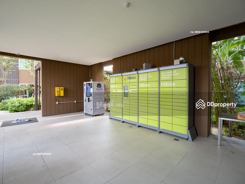 Dcondo Campus Resort Rangsit : ดี คอนโด แคมปัส รีสอร์ท รังสิต, ปทุมธานี, 89 ซอยหมู่บ้านกฤษณาเฮ้าส์ ถนนคลองหลวง, คลองหนึ่ง, คลองหลวง, ปทุมธานี, 30 ตร.ม., คอนโด ให้เช่า, โดย ฐิติศักดิ์ เจน, 11506263 - DDproperty.com