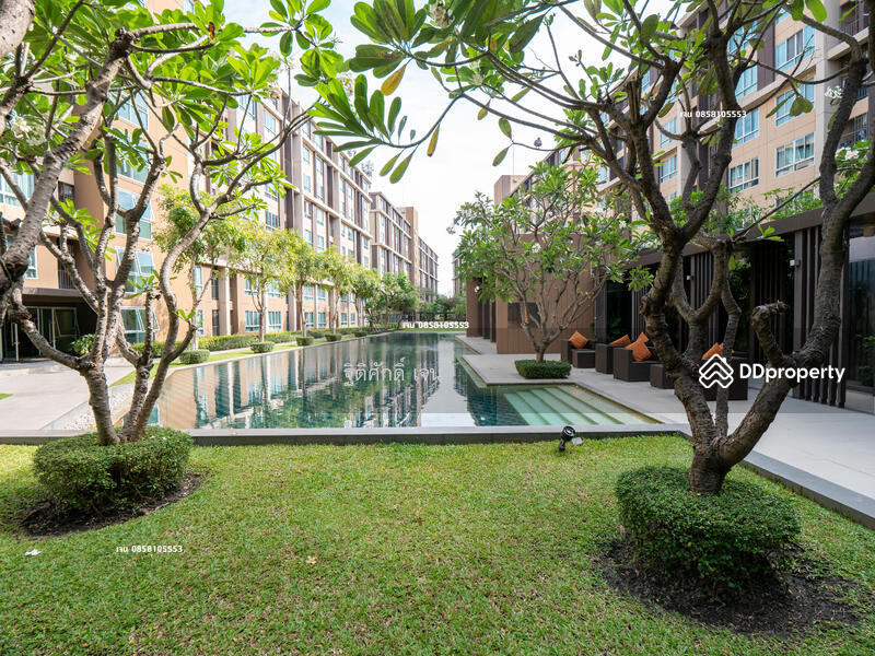 Dcondo Campus Resort Rangsit, Pathum Thani, 89 Soi Mu Ban Kritsana House Khlong Luang Road, Khlong Nung, Khlong Luang, Pathum Thani, 1 Bedroom, 30 sqm, Condo For Rent, by TITISAK Jane, 11506263 - DDproperty.com