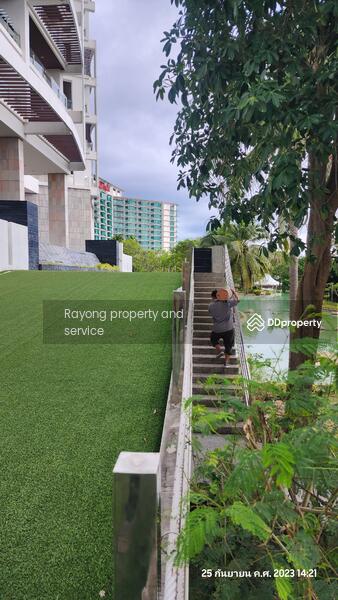 PHUPHAtara RAYONG, Rayong, Pae-Klaeng-Kram Road, Chakphong, Klaeng, Rayong, 1 Bedroom, 74 sqm, Condo For Sale, by Khun Thitima, 11506576 - DDproperty.com