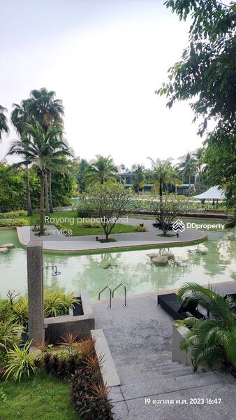 PHUPHAtara RAYONG, Rayong, Pae-Klaeng-Kram Road, Chakphong, Klaeng, Rayong, 1 Bedroom, 74 sqm, Condo For Sale, by Khun Thitima, 11506576 - DDproperty.com