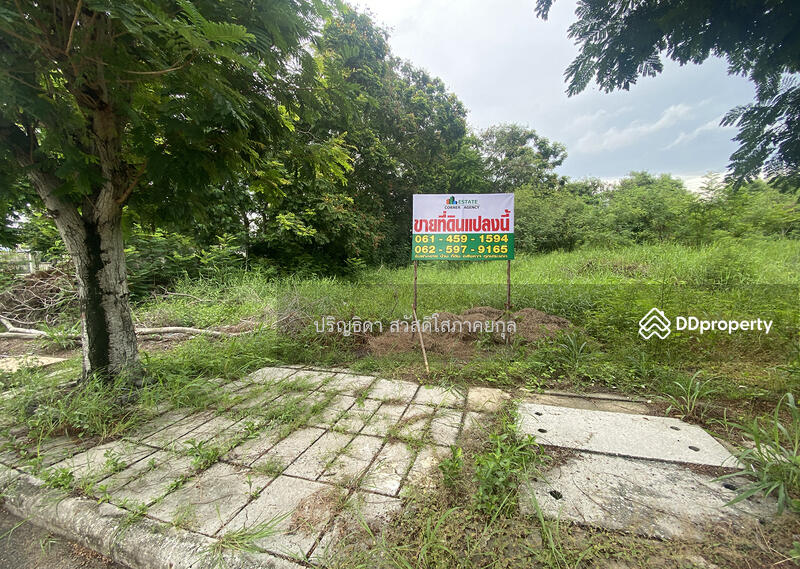 For Sale - Land for sale in the Wichit Thani Bangna-Trad, Bang Pakong, Chachoengsao