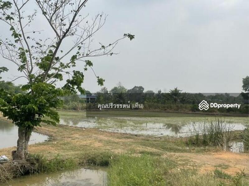 ขาย - ต.พืชอุดม อ.ลำลูกกา จ.ปทุมธานี, ปทุมธานี