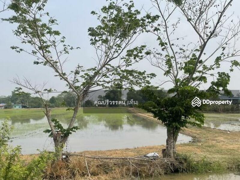 ขาย - ต.พืชอุดม อ.ลำลูกกา จ.ปทุมธานี, ปทุมธานี