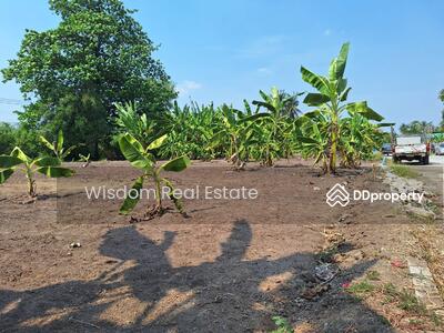 ขาย - ที่ดิน 100 200 300 ตรว. ติดถนนราชมนตรี กาญจนาฯ - สาย 1 - บางแค, กรุงเทพ