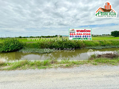 ขาย - The Matrix : เดอะ แมทริกซ์, นครปฐม