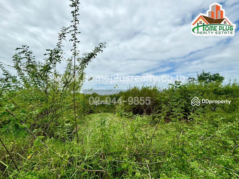 For Sale - The Matrix, Nakhon Pathom