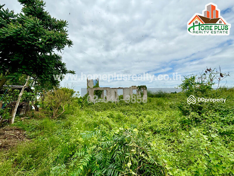 For Sale - The Matrix, Nakhon Pathom