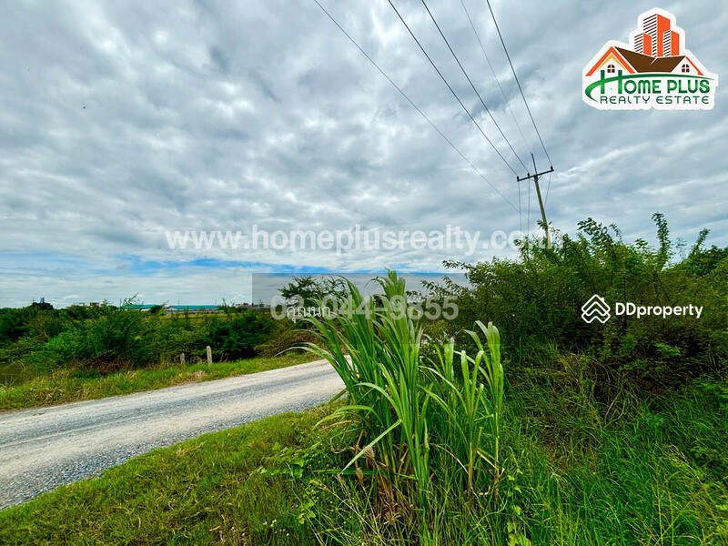 For Sale - The Matrix, Nakhon Pathom