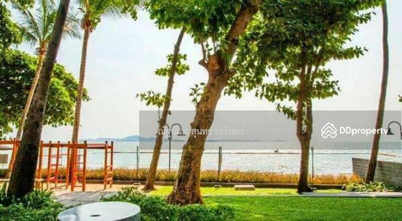 Zire Wongamat, Chon Buri (Pattaya), 456 Soi Naklua 18, Na Kloe, Bang Lamung (Pattaya), Chon Buri (Pattaya), 2 Bedrooms, 100 sqm, Condo For Sale, by ณัฐนันท์ สุนทรวรจันทร์, 11508931 - DDproperty.com