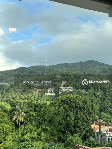 Phuket Villa Patong Beach : ภูเก็ตวิลล่า ป่าตองบีช, ภูเก็ต, หาดป่าตอง, ป่าตอง, กะทู้, ภูเก็ต, 41 ตร.ม., คอนโด ให้เช่า, โดย Dararat Sukseel, 11509123 - DDproperty.com