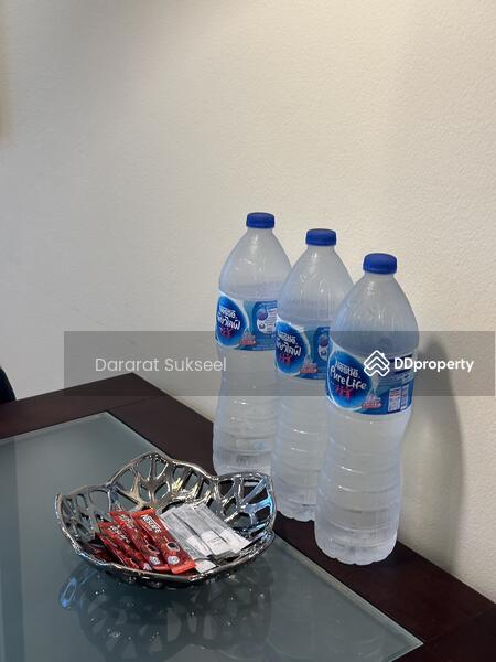 Phuket Villa Patong Beach : ภูเก็ตวิลล่า ป่าตองบีช, ภูเก็ต, หาดป่าตอง, ป่าตอง, กะทู้, ภูเก็ต, 41 ตร.ม., คอนโด ให้เช่า, โดย Dararat Sukseel, 11509123 - DDproperty.com