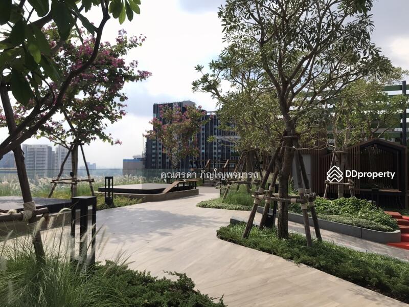 The Line Phahonyothin Park : เดอะ ไลน์ พหลโยธิน พาร์ค, กรุงเทพ, 1090 ถนนพหลโยธิน, จอมพล, จตุจักร, กรุงเทพ, 33 ตร.ม., คอนโด ให้เช่า, โดย คุณศรุดา ภิญโญพจนารถ, 11509511 - DDproperty.com