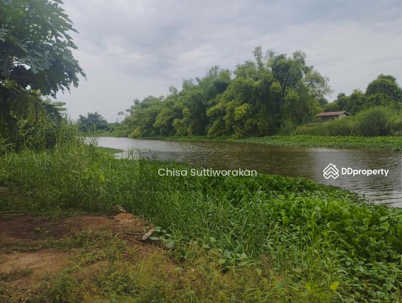 ขาย - สามชุก, สุพรรณบุรี
