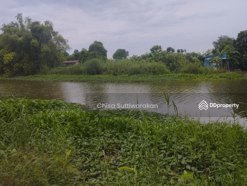 ขาย - สามชุก, สุพรรณบุรี