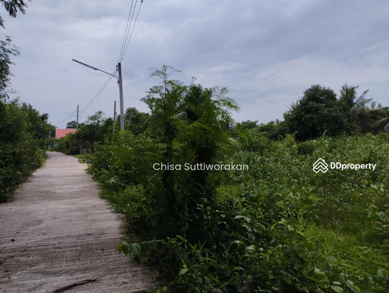 ขาย - สามชุก, สุพรรณบุรี