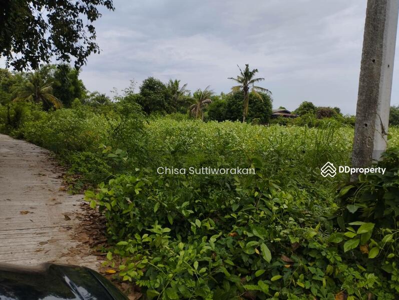 For Sale - สามชุก, Suphan Buri