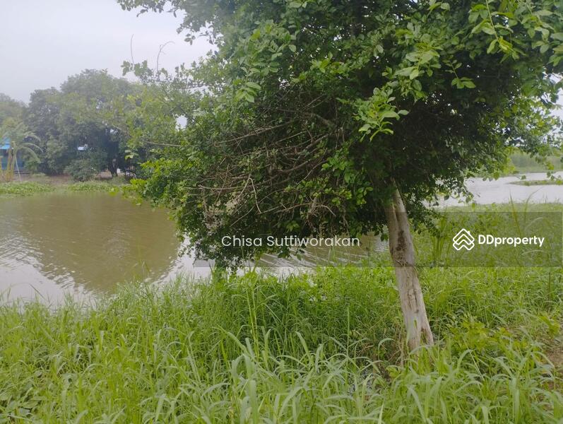 ขาย - สามชุก, สุพรรณบุรี