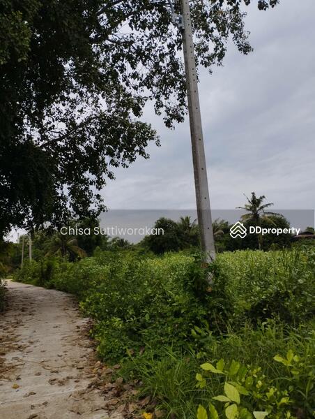 For Sale - สามชุก, Suphan Buri