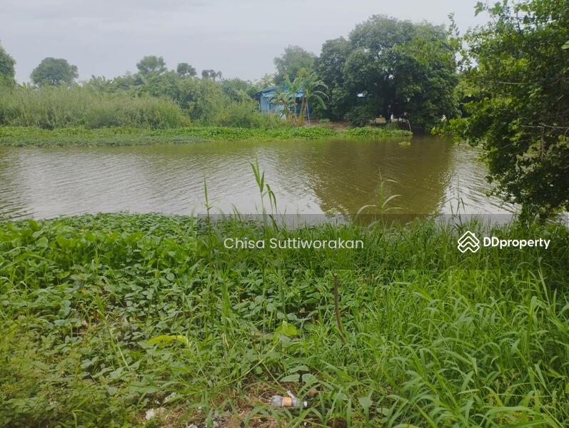 ขาย - สามชุก, สุพรรณบุรี