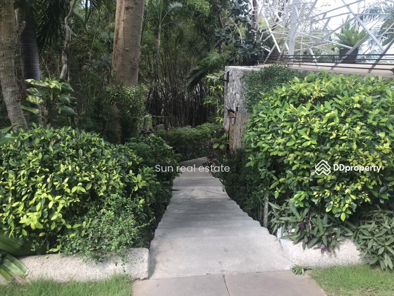 The Palm Wongamat Beach, Chon Buri (Pattaya), Soi Naklua 16, Na Kloe, Bang Lamung (Pattaya), Chon Buri (Pattaya), 2 Bedrooms, 62 sqm, Condo For Rent, by Sun real estate, 11509844 - DDproperty.com