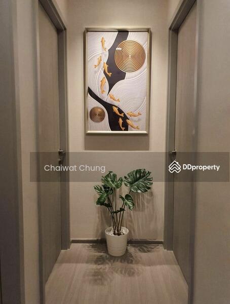 ขาย - Life Sukhumvit 62 : ไลฟ์ สุขุมวิท 62, กรุงเทพ