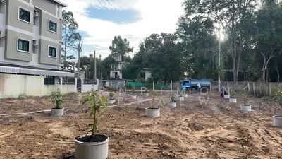 ขาย - บ้านเพ ระยอง, ระยอง