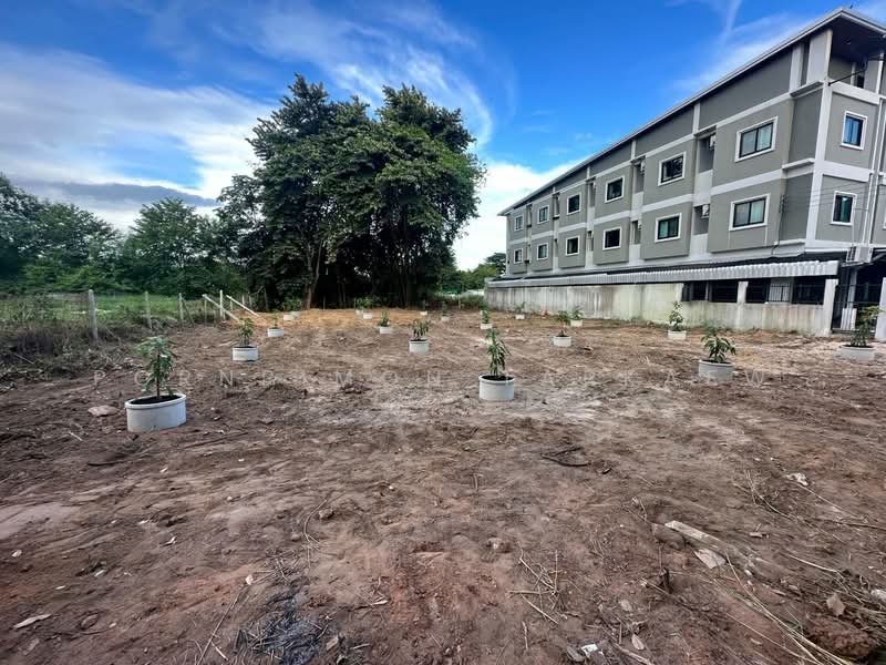 บ้านเพ ระยอง, ระยอง, เพ, เมืองระยอง, ระยอง, 892 ตร.ม., ที่ดิน ขาย, โดย Pornpimon Tapkaew, 11511503 - DDproperty.com