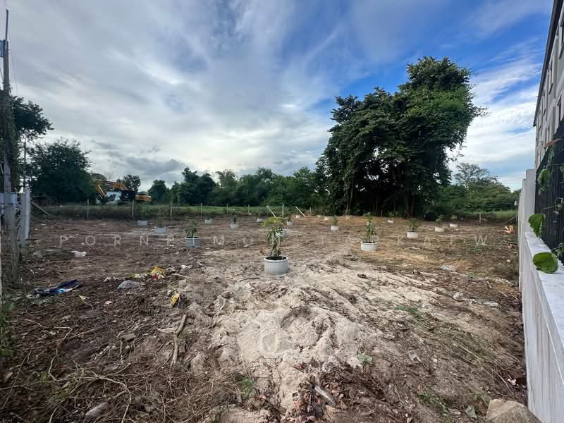 บ้านเพ ระยอง, ระยอง, เพ, เมืองระยอง, ระยอง, 892 ตร.ม., ที่ดิน ขาย, โดย Pornpimon Tapkaew, 11511503 - DDproperty.com