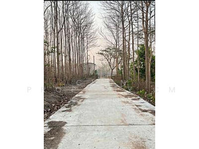 ขาย - ที่ดินวังเหนือ ลำปาง, ลำปาง