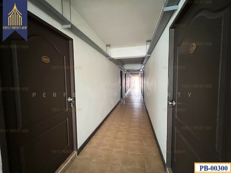 อพาร์ทเม้น หอพัก อมตะชลบุรี, Chon Buri (Pattaya), - -, Ban Khao, Phan Thong, Chon Buri (Pattaya), 10+ Bedrooms, 2,000 sqm, Apartment For Sale, by ปภัชญา ธนัตถ์ภรณ์, 11511707 - DDproperty.com