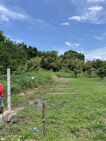 For Sale - Chaiyapruek Bangna Km 15, Samut Prakan