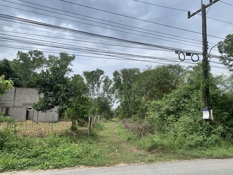 ขาย - ขายที่ดินเปล่า L4_1_0486_G01, สงขลา