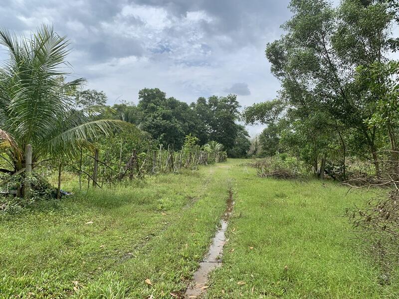Sale Vacant Land L4_1_0486_G01, Songkhla, ถนนควนเนียง-บ้านห้วยเล็ก (สข.4024), Khuan So, Khuan Niang, Songkhla, , 1,694 sqm, Land For Sale, by Alpha Capital AMC, 11513151 - DDproperty.com