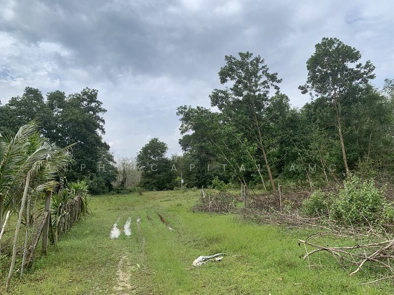Sale Vacant Land L4_1_0486_G01, Songkhla, ถนนควนเนียง-บ้านห้วยเล็ก (สข.4024), Khuan So, Khuan Niang, Songkhla, , 1,694 sqm, Land For Sale, by Alpha Capital AMC, 11513151 - DDproperty.com