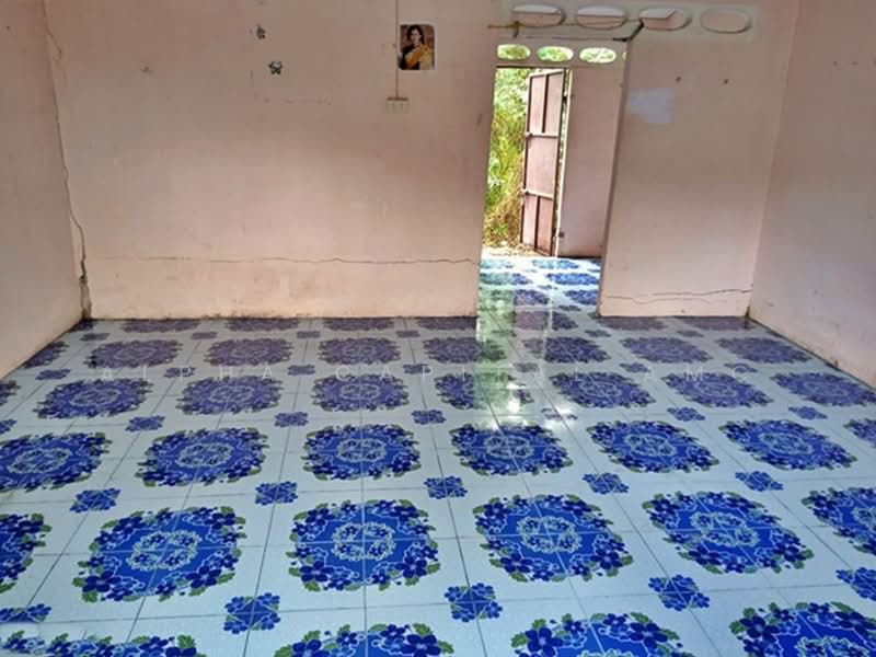 ขาย - ขายบ้านพักอาศัยปูนชั้นเดียว L4_3_0522_G01, สตูล