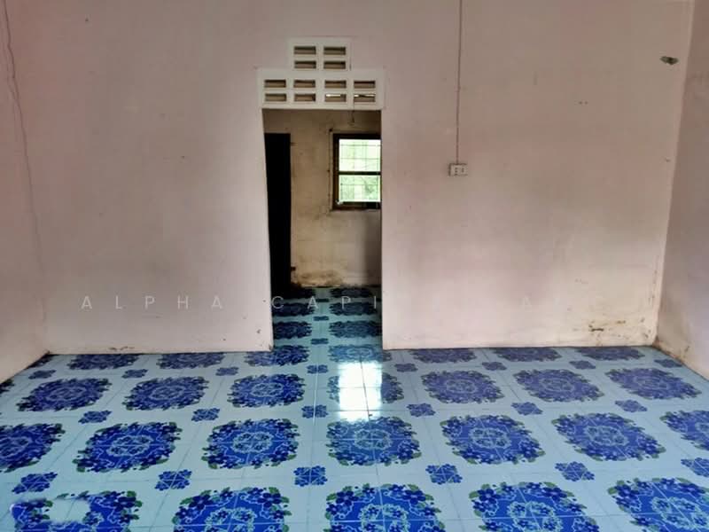 ขาย - ขายบ้านพักอาศัยปูนชั้นเดียว L4_3_0522_G01, สตูล