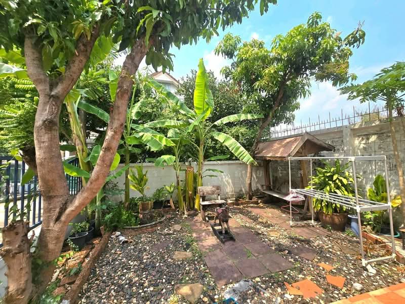 10510, Bangkok, Min Buri, Bangkok, 3 Bedrooms, 200 sqm, Single Detached House For Rent, by กุลจิรา อภัยโส, 11514286 - DDproperty.com