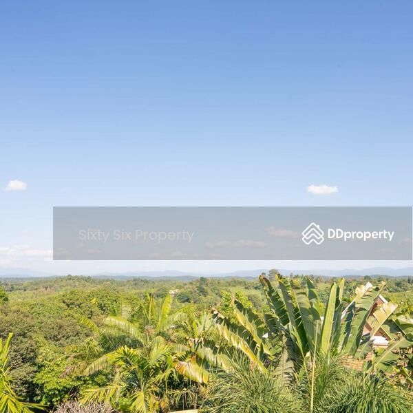 ขาย - The Pavana Resort, เชียงใหม่