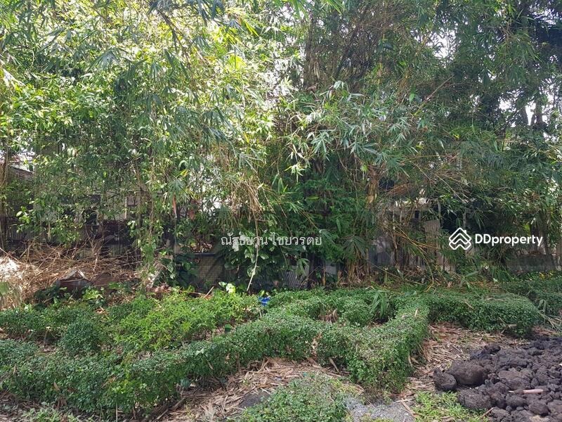 For Sale - ขายที่ดินถนนเจริญราษฎร์ ใก้ลถนนสาทรซึ่งห่างเพียง 250 เมตร เหมาะนำมาพัฒนาเป็นโครงการคอนโดมิเนียม, Bangkok