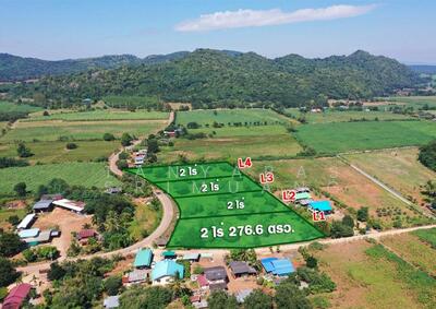 ขาย - ขายที่ดินแบ่งแปลงขายเขาใหญ่ พร้อมสวนมะม่วงติดถนน วิวเขาล้อมรอบ, นครราชสีมา